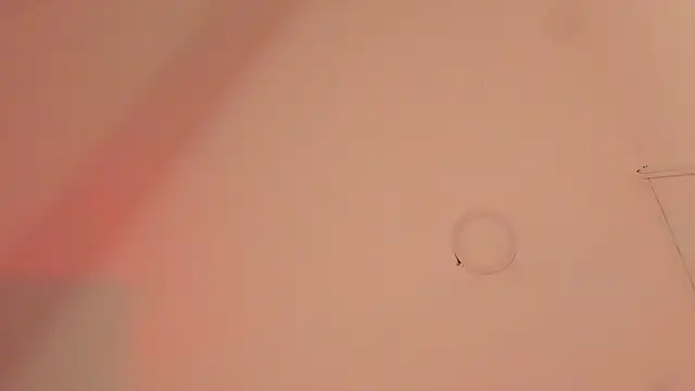 Snapshot of ALICEPOIXXXON chatting on 10.14.25 ALICEPOIXXXON online show from 10.14.25