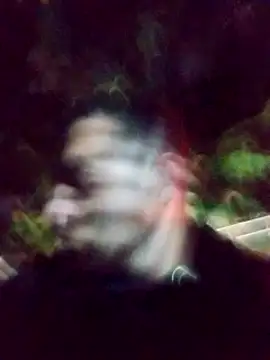 Snapshot of mis312 chatting on 03.04.25 mis312 online show from 03.04.25