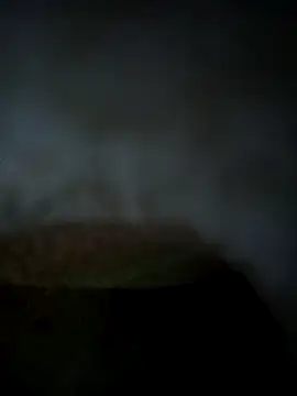 Shivi shahh online show from 01.20.25