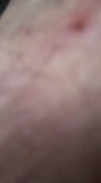 Snapshot of nevessartori chatting on 12.27.24 nevessartori online show from 12.27.24