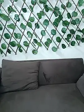 Bold-Cat online show from 11.20.25