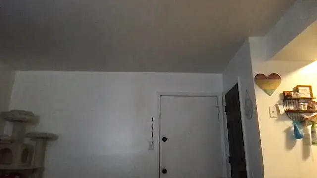 SpunCandy online show from 01.17.26