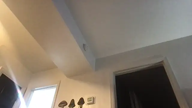 SpunCandy online show from 03.03.26