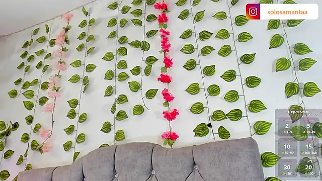 Charlie Williams online show from 02.22.26