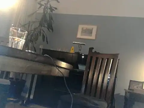 Snapshot of RolfS chatting on 03.17.25 RolfS online show from 03.17.25