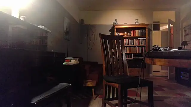 Snapshot of RolfS chatting on 10.06.25 RolfS online show from 10.06.25