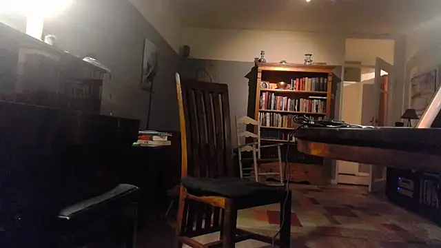 Snapshot of RolfS chatting on 10.08.25 RolfS online show from 10.08.25