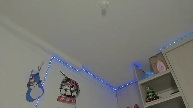 Snapshot of _diegsz_ chatting on 12.31.24 diegsz online show from 12.31.24