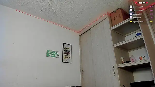 Snapshot of _diegsz_ chatting on 02.17.25 diegsz online show from 02.17.25