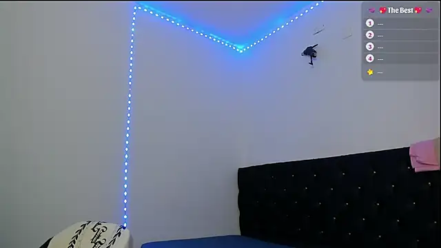 Snapshot of _diegsz_ chatting on 03.15.25 diegsz online show from 03.15.25