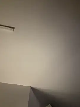 tigerrtiger online show from 02.19.25