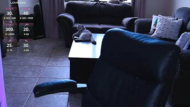 Naughty-Kitty1 online show from 07.07.26