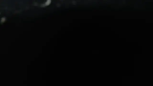 1BECHA1 online show from 02.22.26