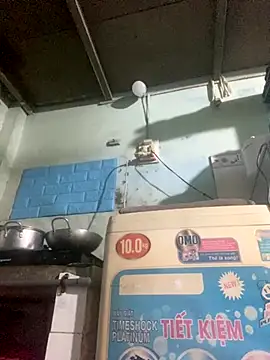 Ly Coca24 online show from 10.30.25