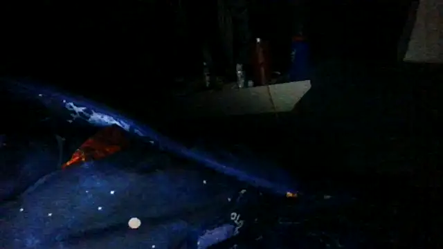 toast843 online show from 02.09.25