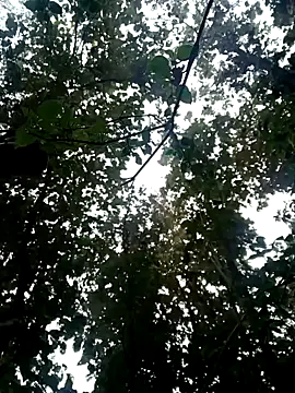 Fucker boy 1 online show from 01.19.25