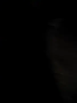 Snapshot of tamilbull07 chatting on 12.03.25 tamilbull07 online show from 12.03.25