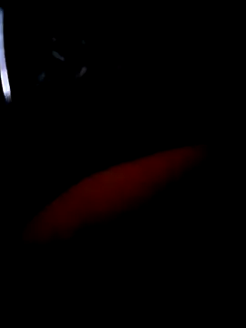 pascalino100 online show from 04.04.26