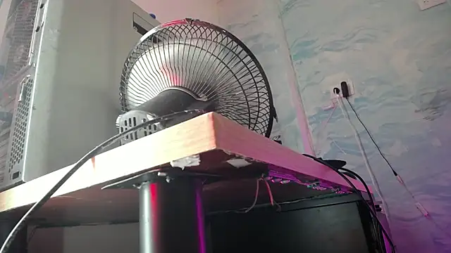 baihu jin online show from 12.25.24