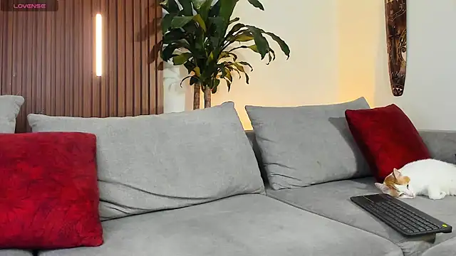 lucasanto  online show from 04.11.26