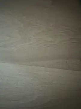 Joanachupa online show from 01.18.26