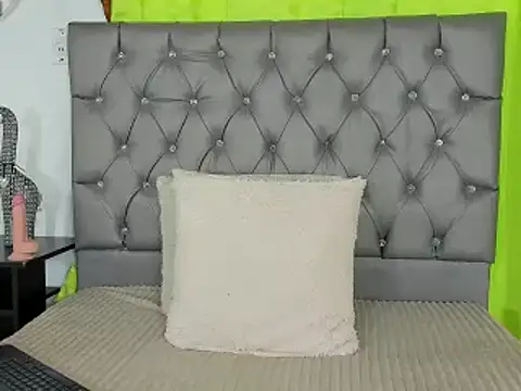 Snapshot of any_rox chatting on 02.28.25 any rox online show from 02.28.25