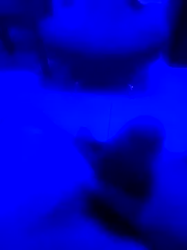 NICXUSS online show from 12.04.25