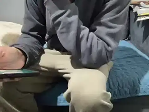 4small4inchlol online show from 02.21.25