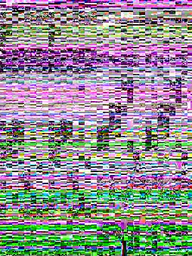 SandraCarter online show from 06.07.26