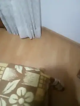 rush6983 online show from 11.06.25