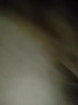 7alawa-44 online show from 02.05.26