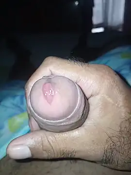 taylorWiiz online show from 03.04.26