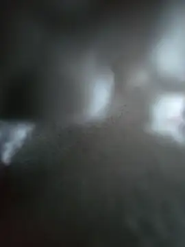 hungarian dick online show from 10.19.25