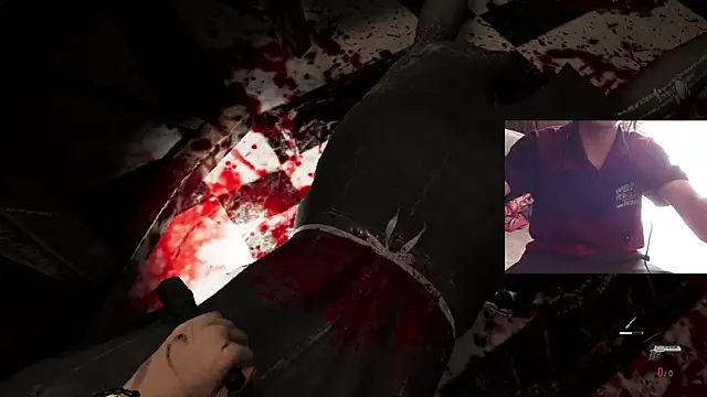 Snapshot of Dreamdaze2025 chatting on 04.13.26 Dreamdaze2025 online show from 04.13.26