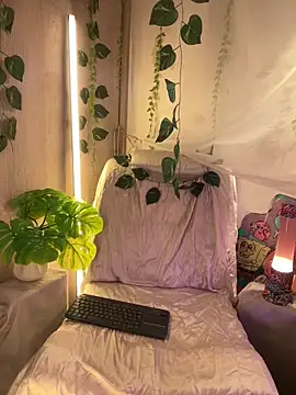 Kitty arts online show from 03.02.25