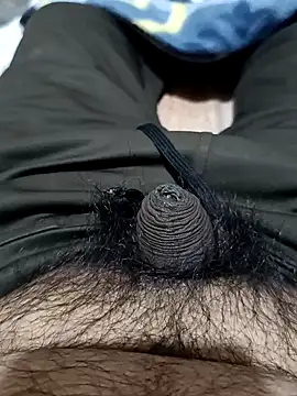 punjabimunda28 online show from 01.27.25