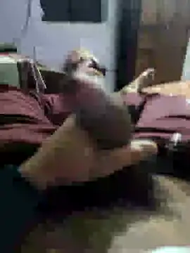 youngbull 21delhi online show from 12.21.24