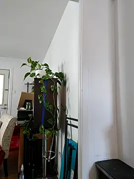 Snapshot of QcMisterv13 chatting on 09.30.25 QcMisterv13 online show from 09.30.25