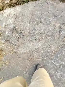 Ishan003 online show from 02.05.26