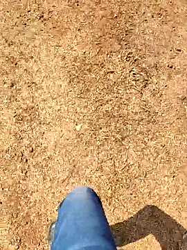 Ishan003 online show from 02.08.26