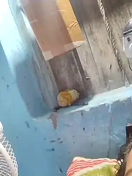 Snapshot of Natasha-In69 chatting on 01.31.25 Natasha-In69 online show from 01.31.25