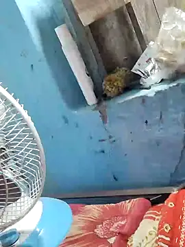 Snapshot of Natasha-In69 chatting on 02.06.25 Natasha-In69 online show from 02.06.25