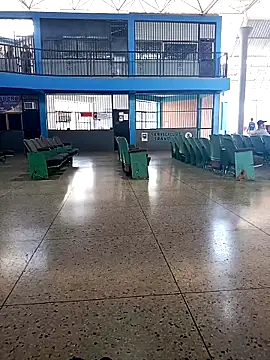 AlkalineCalmness online show from 03.24.26