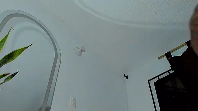 Andrew wolf7 online show from 10.28.25