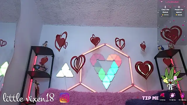 Snapshot of littlevixen18 chatting on 02.24.26 littlevixen18 online show from 02.24.26