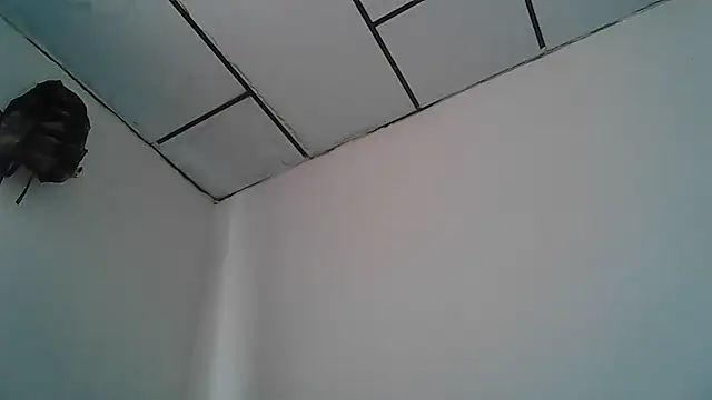 Snapshot of Alphadavid_23 chatting on 04.30.26 Alphadavid 23 online show from 04.30.26
