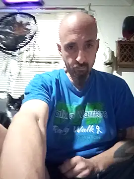 armdy371 online show from 05.11.26