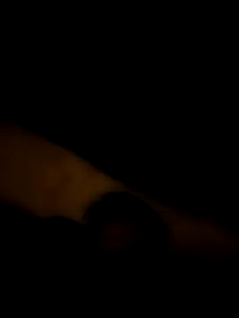 LAN69XXXX online show from 03.25.26