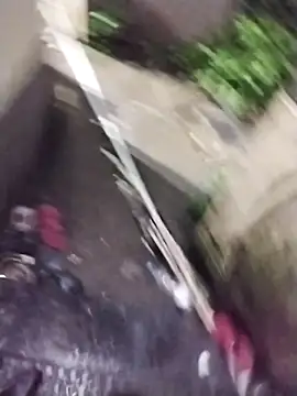 Snapshot of Alokraj373990 chatting on 11.01.25 Alokraj373990 online show from 11.01.25