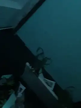 big cock is back online show from 12.29.24